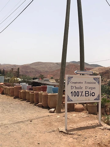 Coopérative d'huile d'Argan Bio pas loin de Marrakech